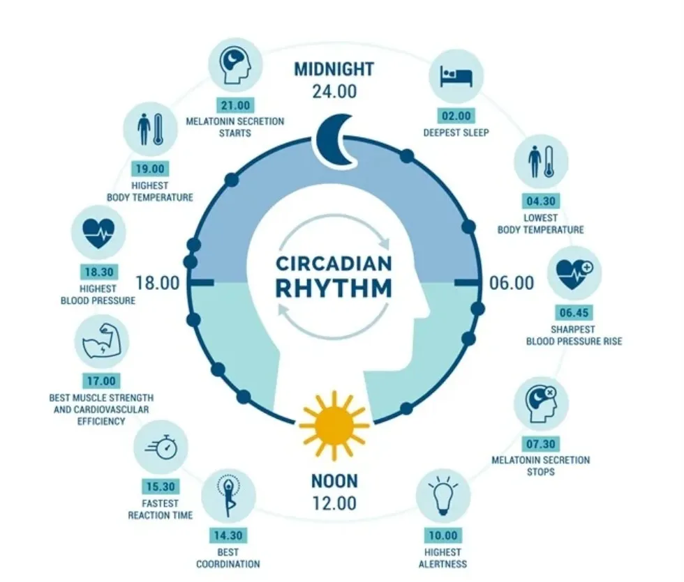 Circadian rhythm study metrics